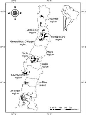 Patterns of Gastrointestinal Helminth Infections in Rattus rattus, Rattus norvegicus, and Mus musculus in Chile